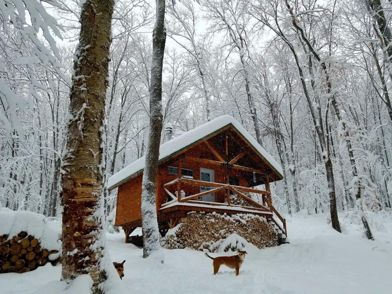 Вилла Les Cabines Nordik Des Piles Сен-Жан-Де-Пиль Экстерьер фото